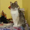 Отзыв от Ольга Рыбакова